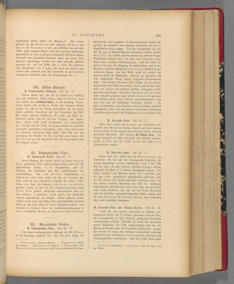 Exotische schmetterlinge (Page 229) BHL40070584