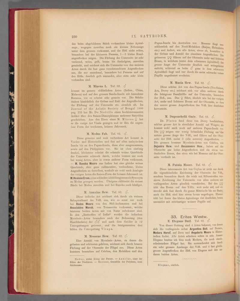 Exotische schmetterlinge (Page 230) BHL40070585