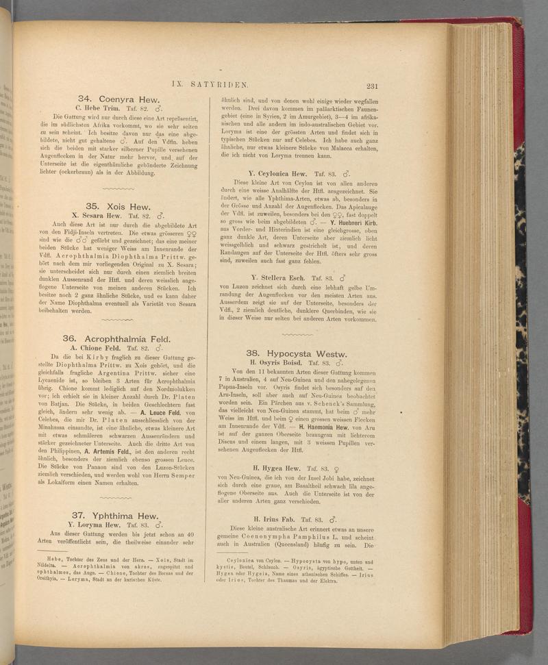 Exotische schmetterlinge (Page 231) BHL40070586