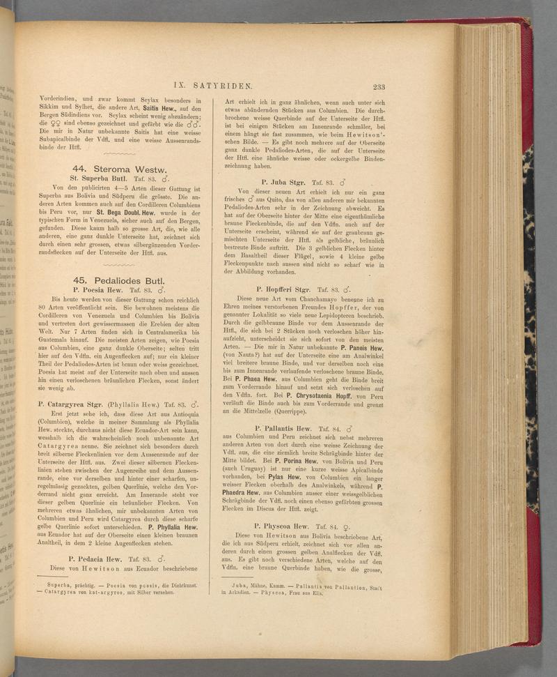Exotische schmetterlinge (Page 233) BHL40070588