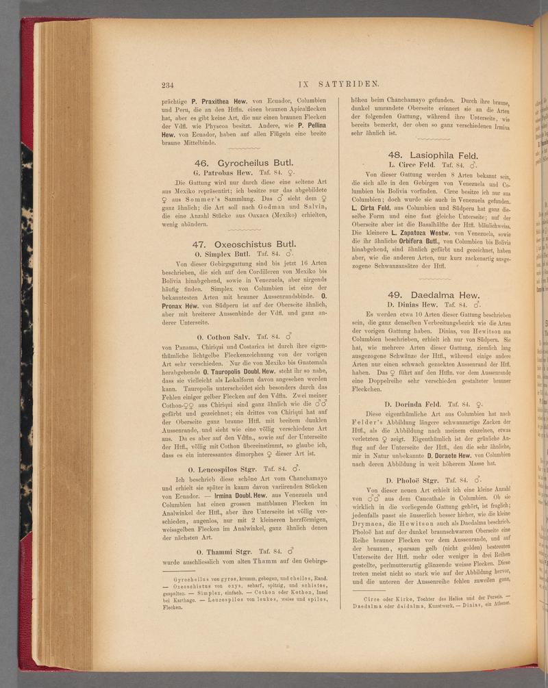 Exotische schmetterlinge (Page 234) BHL40070589