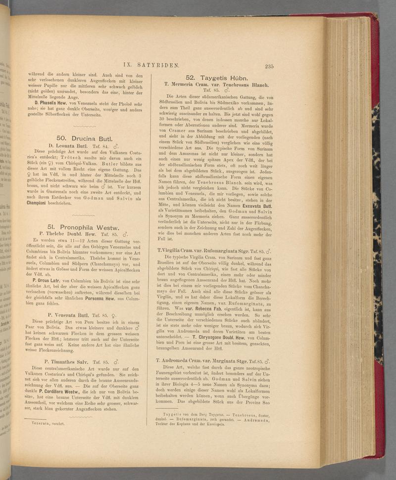 Exotische schmetterlinge (Page 235) BHL40070590