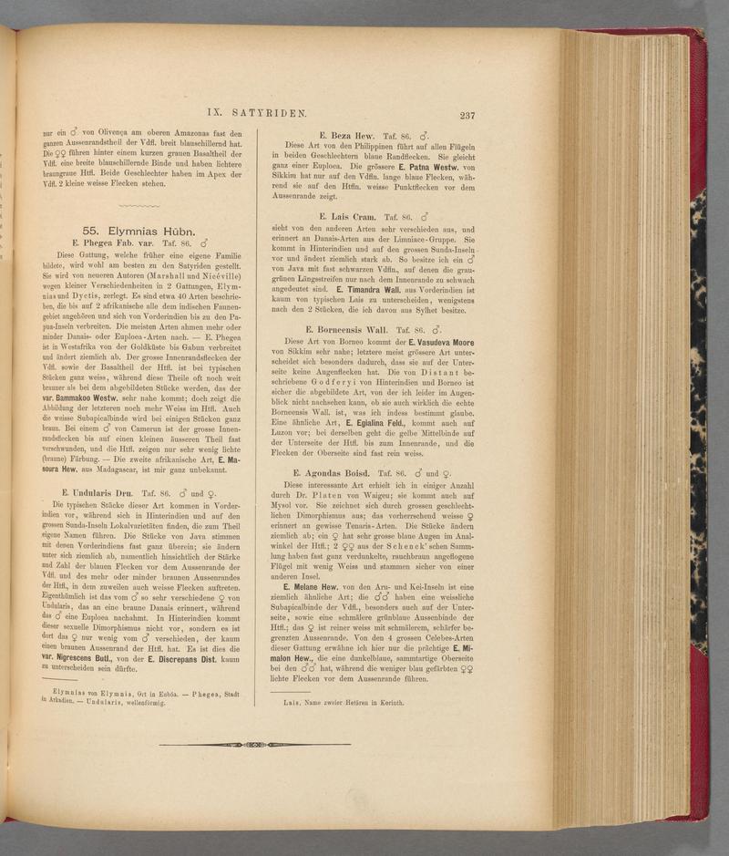 Exotische schmetterlinge (Page 237) BHL40070594