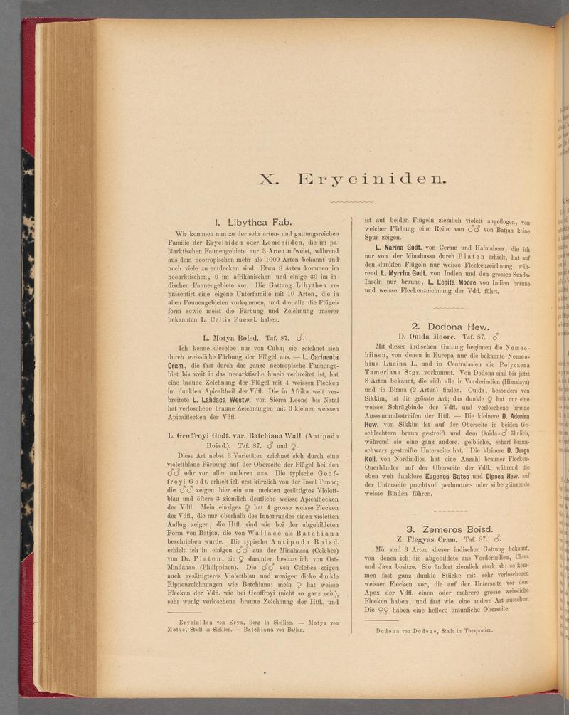Exotische schmetterlinge (Page 238) BHL40070595