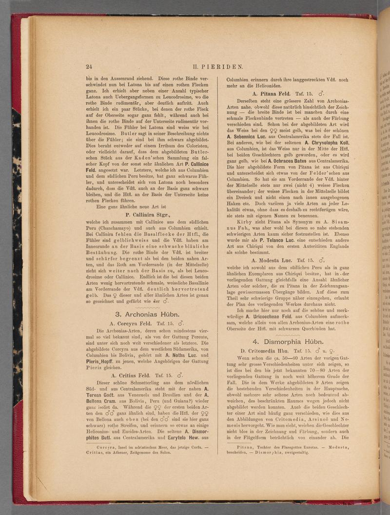 Exotische schmetterlinge (Page 24) BHL40070379