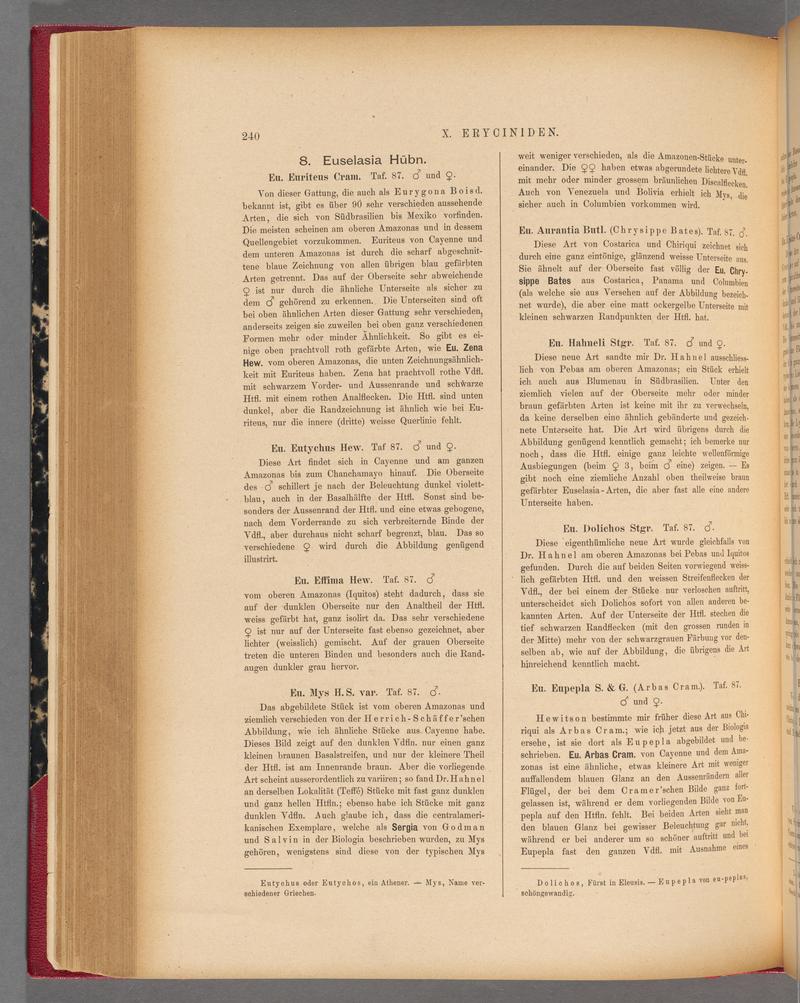 Exotische schmetterlinge (Page 240) BHL40070597
