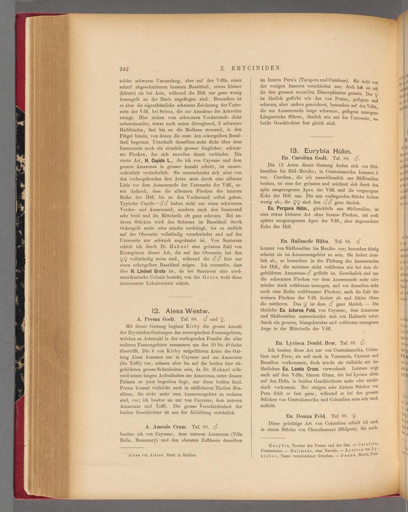 Exotische schmetterlinge (Page 242) BHL40070599