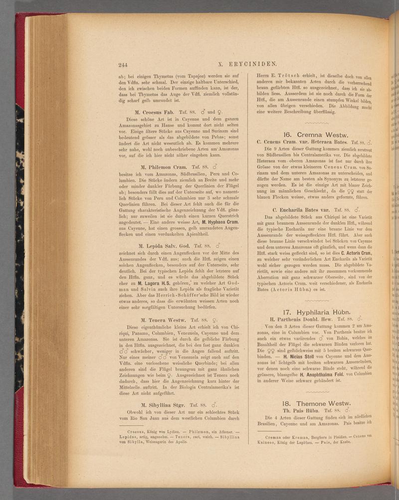 Exotische schmetterlinge (Page 244) BHL40070601
