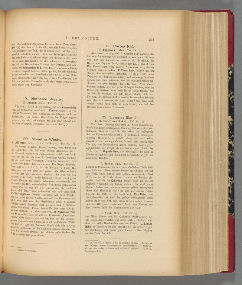 Exotische schmetterlinge (Page 245) BHL40070602