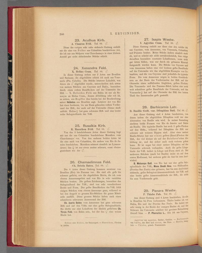 Exotische schmetterlinge (Page 246) BHL40070603