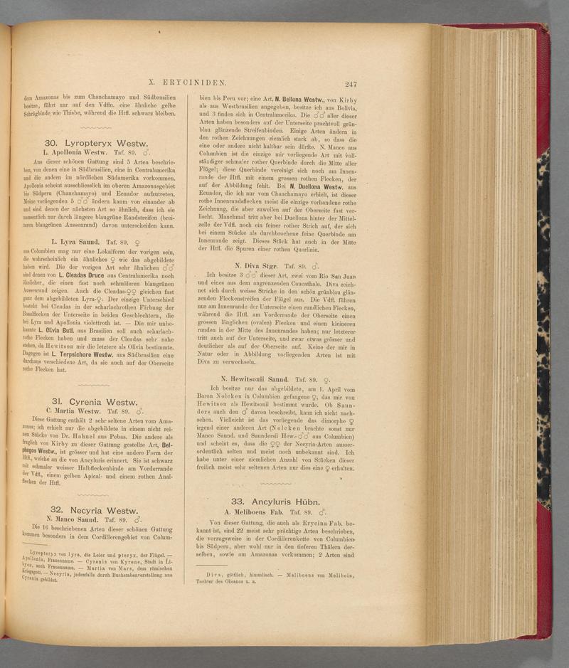 Exotische schmetterlinge (Page 247) BHL40070604