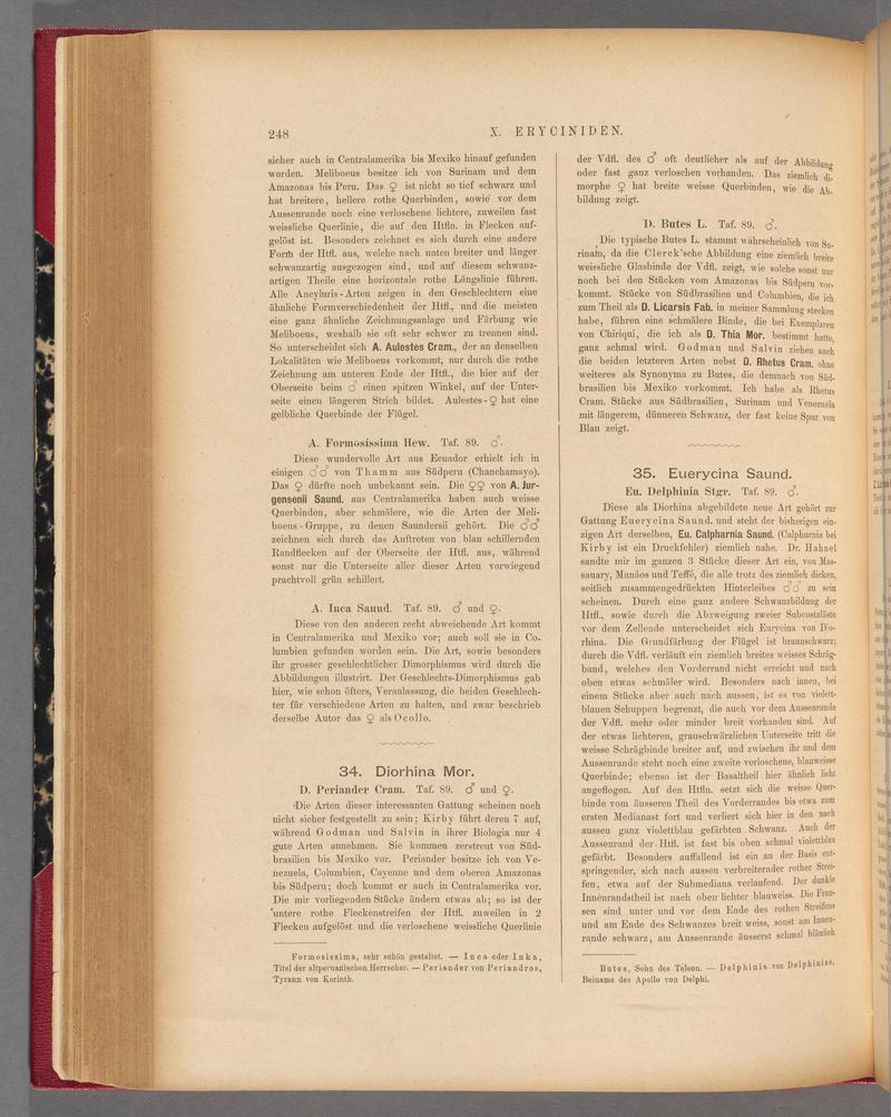 Exotische schmetterlinge (Page 248) BHL40070605