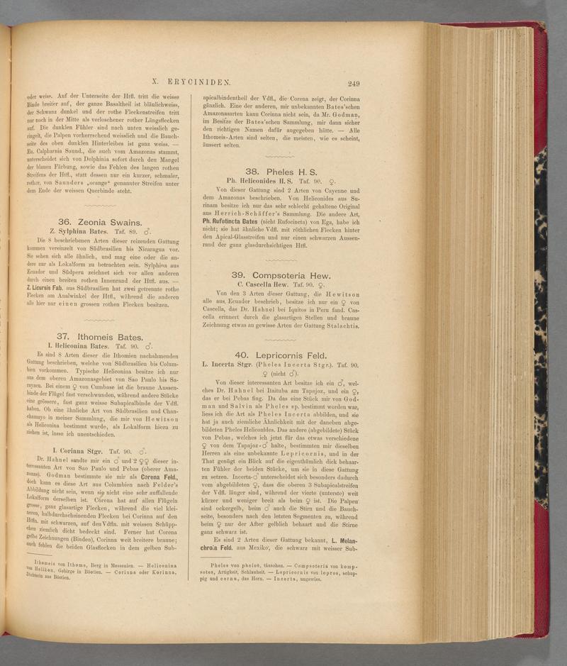 Exotische schmetterlinge (Page 249) BHL40070606