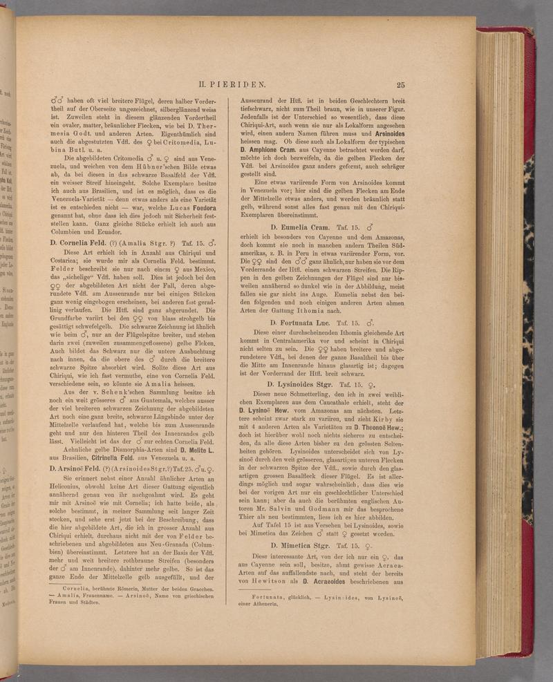 Exotische schmetterlinge (Page 25) BHL40070380