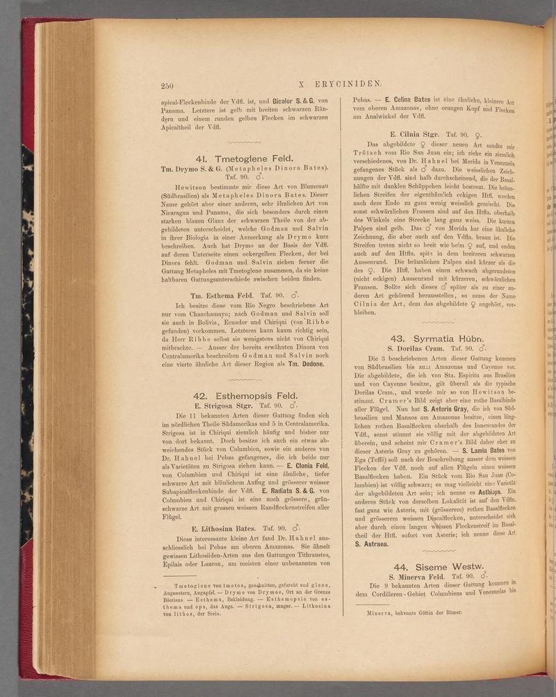 Exotische schmetterlinge (Page 250) BHL40070607