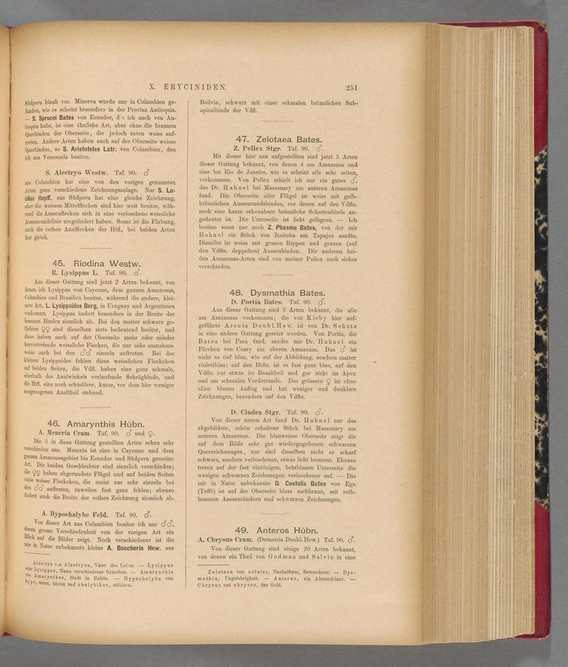 Exotische schmetterlinge (Page 251) BHL40070608