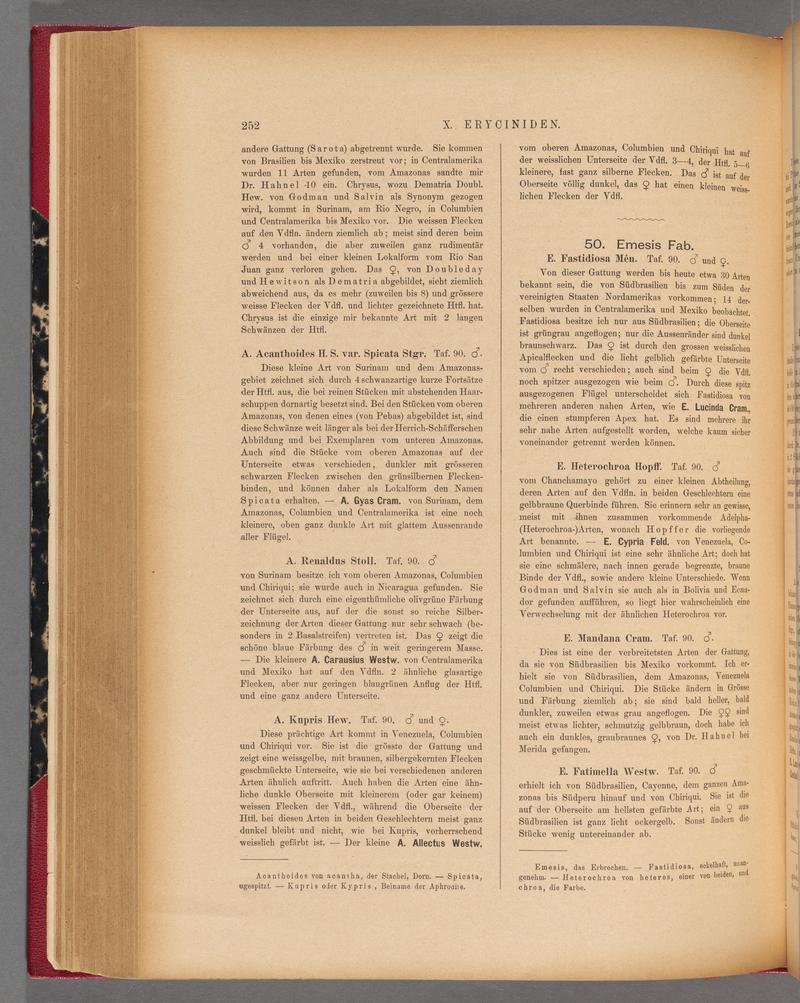 Exotische schmetterlinge (Page 252) BHL40070609
