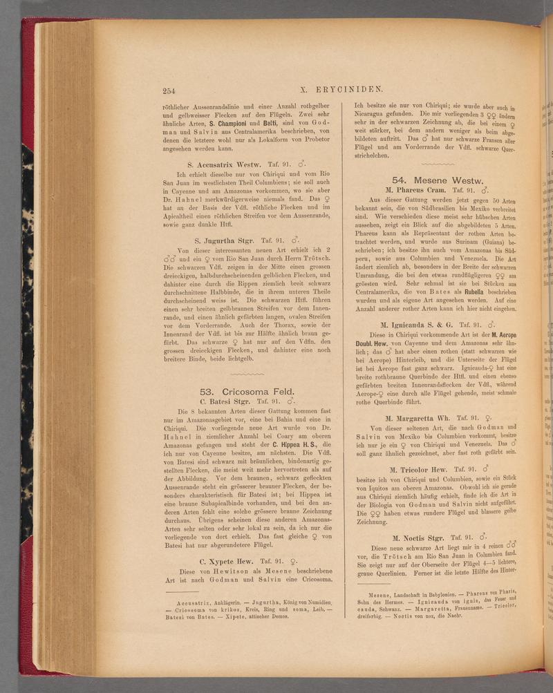 Exotische schmetterlinge (Page 254) BHL40070611