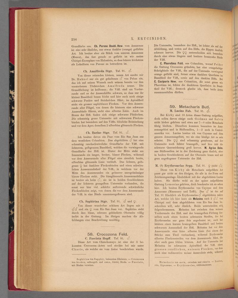 Exotische schmetterlinge (Page 256) BHL40070613
