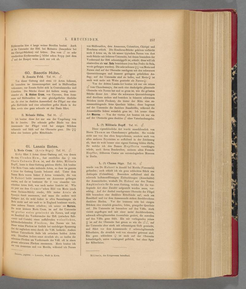 Exotische schmetterlinge (Page 257) BHL40070614