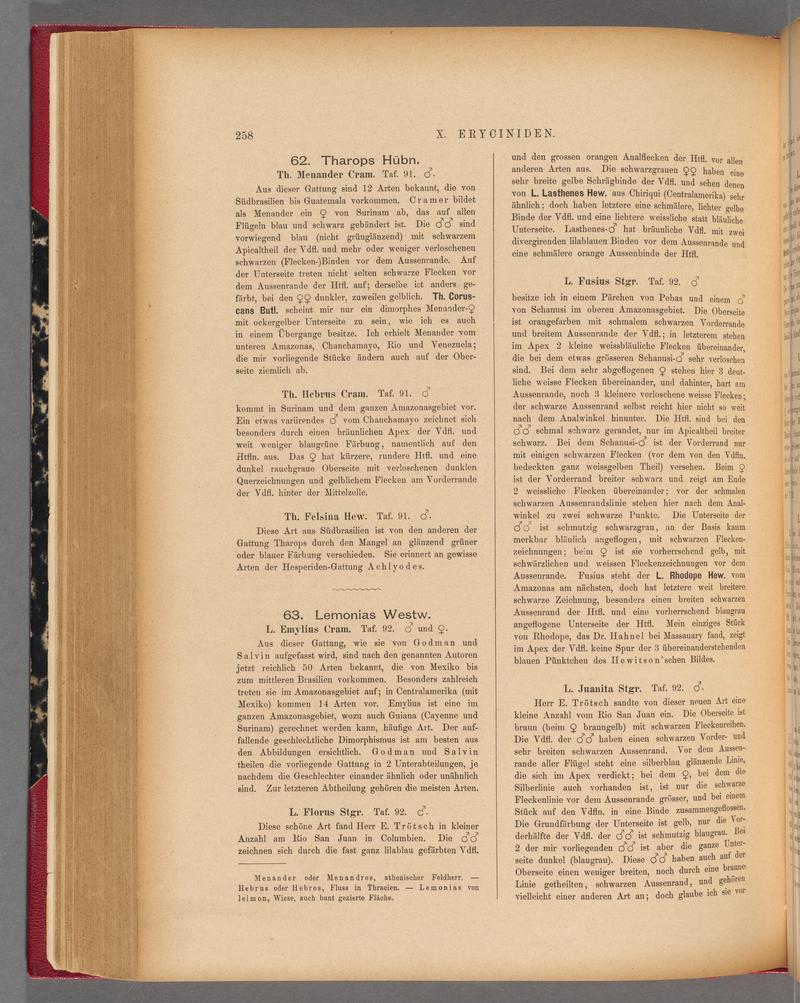 Exotische schmetterlinge (Page 258) BHL40070615
