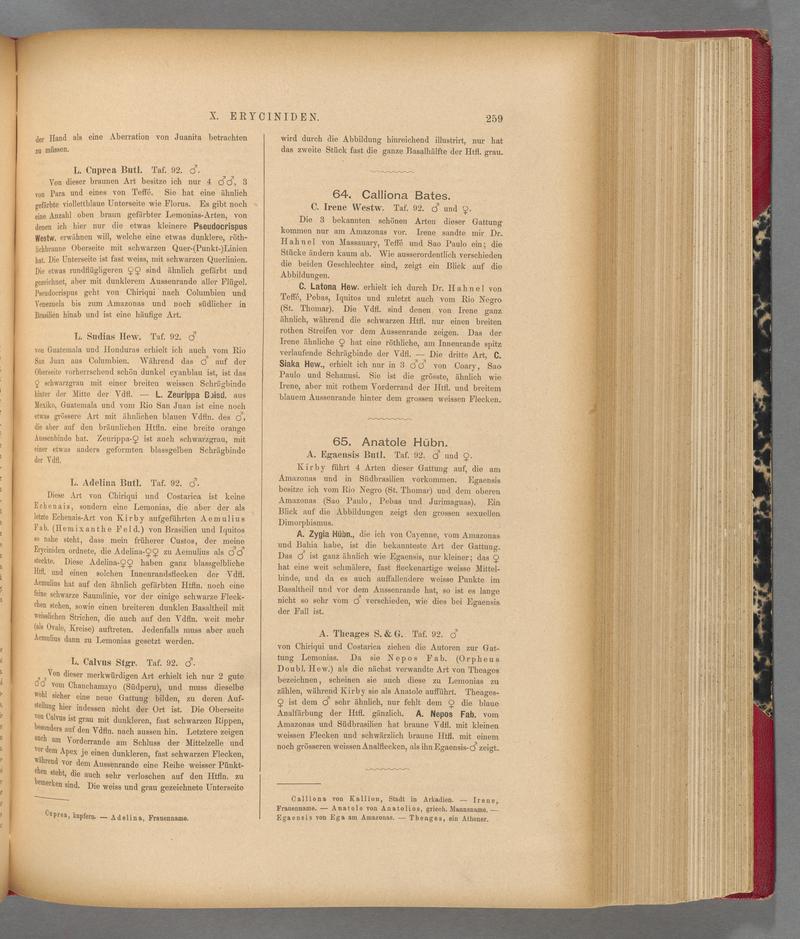 Exotische schmetterlinge (Page 259) BHL40070616