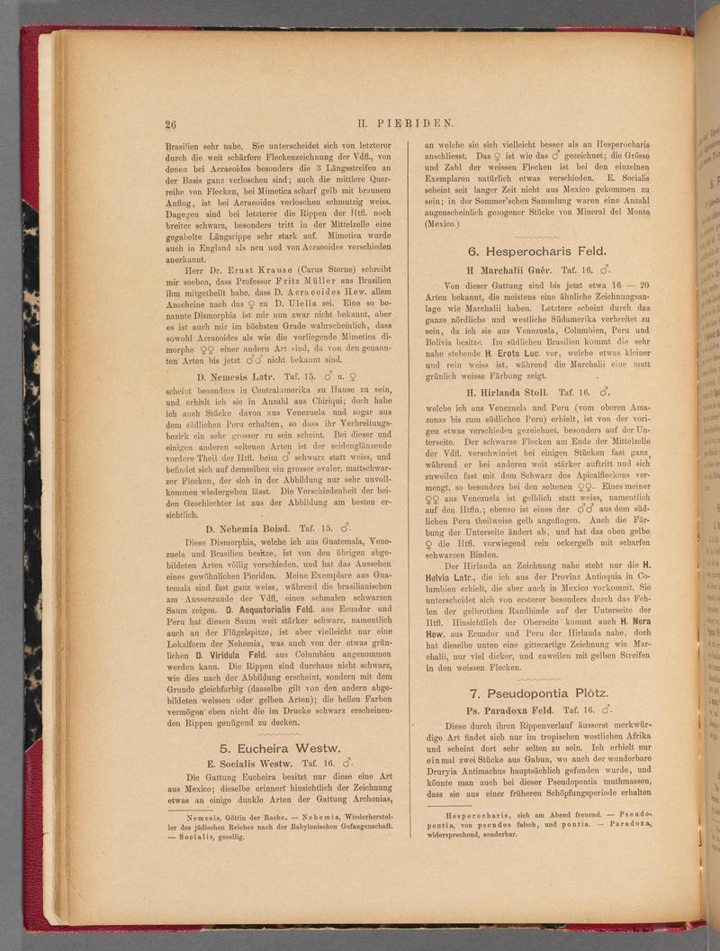 Exotische schmetterlinge (Page 26) BHL40070381