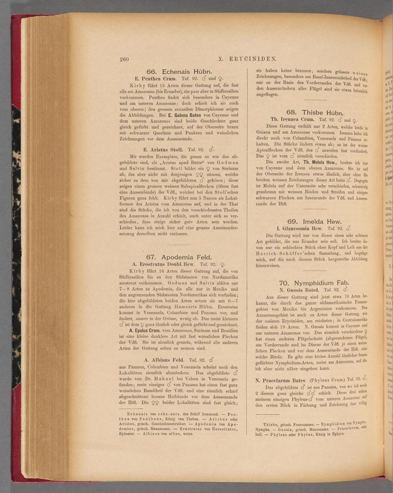 Exotische schmetterlinge (Page 260) BHL40070617