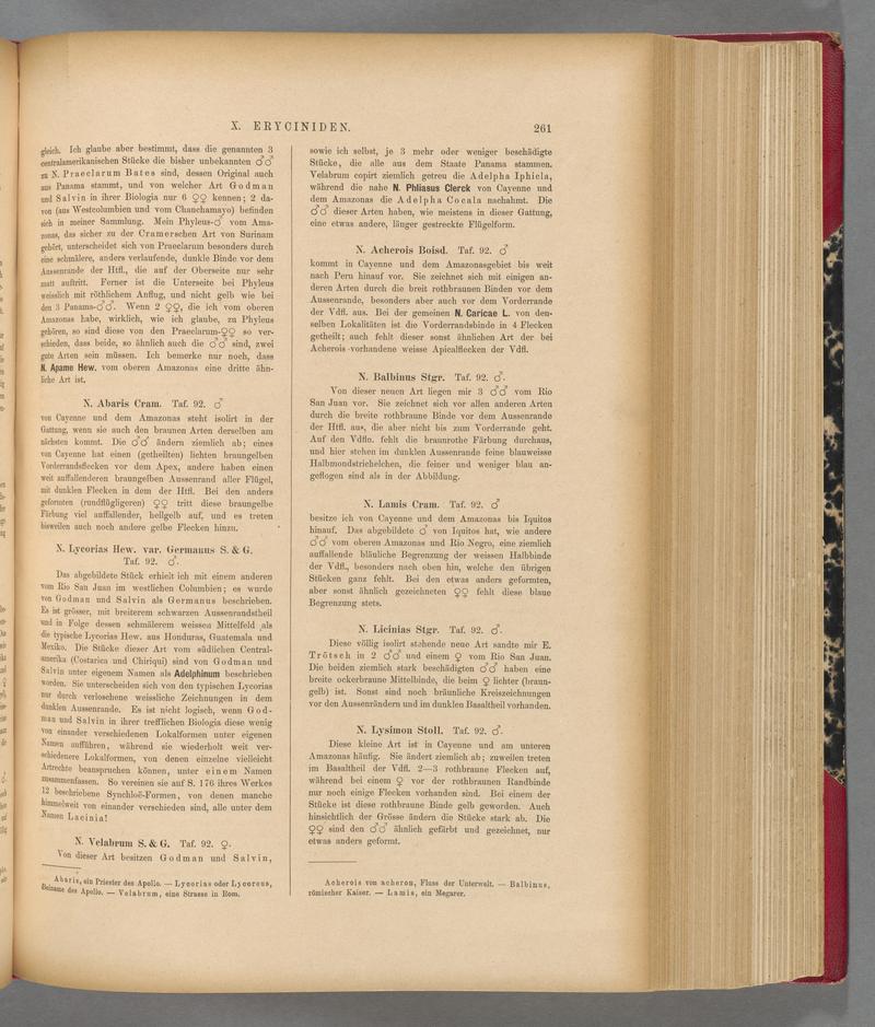 Exotische schmetterlinge (Page 261) BHL40070618