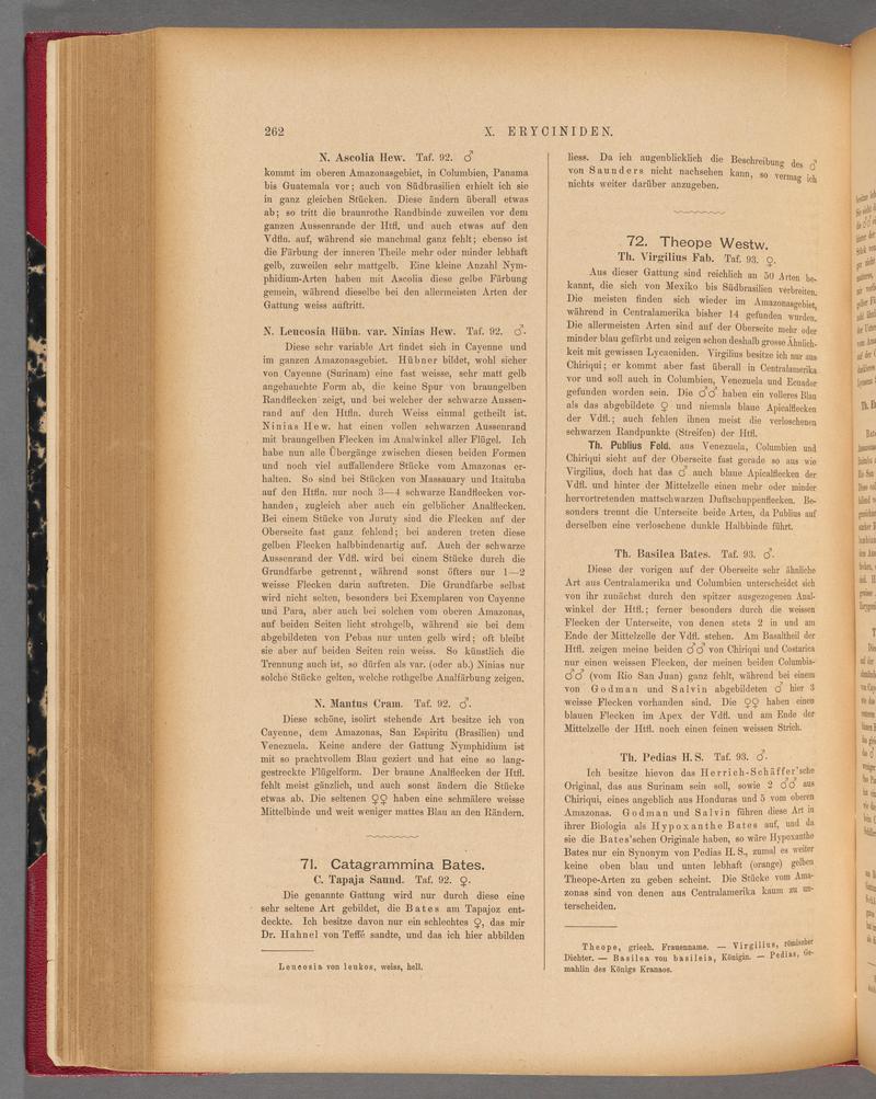 Exotische schmetterlinge (Page 262) BHL40070619