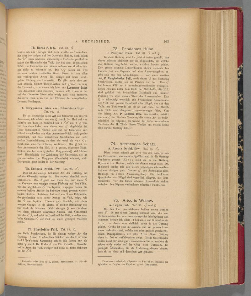 Exotische schmetterlinge (Page 263) BHL40070620
