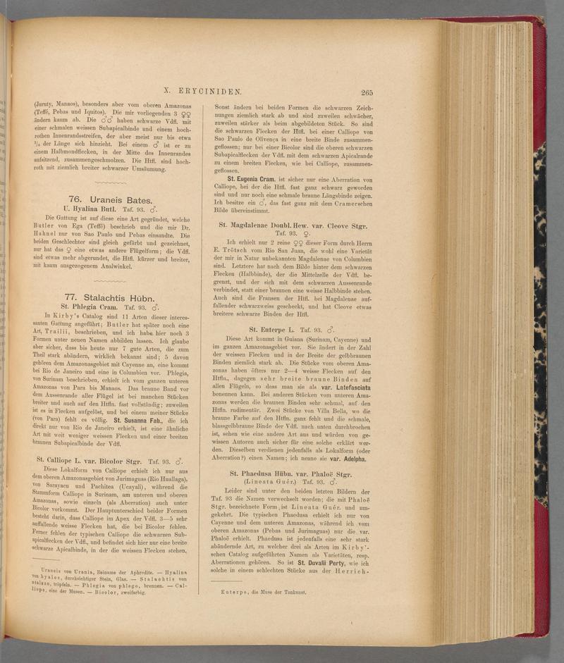 Exotische schmetterlinge (Page 265) BHL40070622
