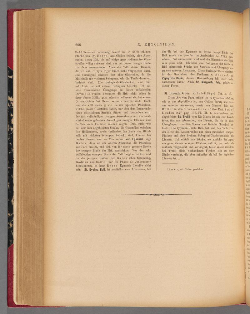Exotische schmetterlinge (Page 266) BHL40070623