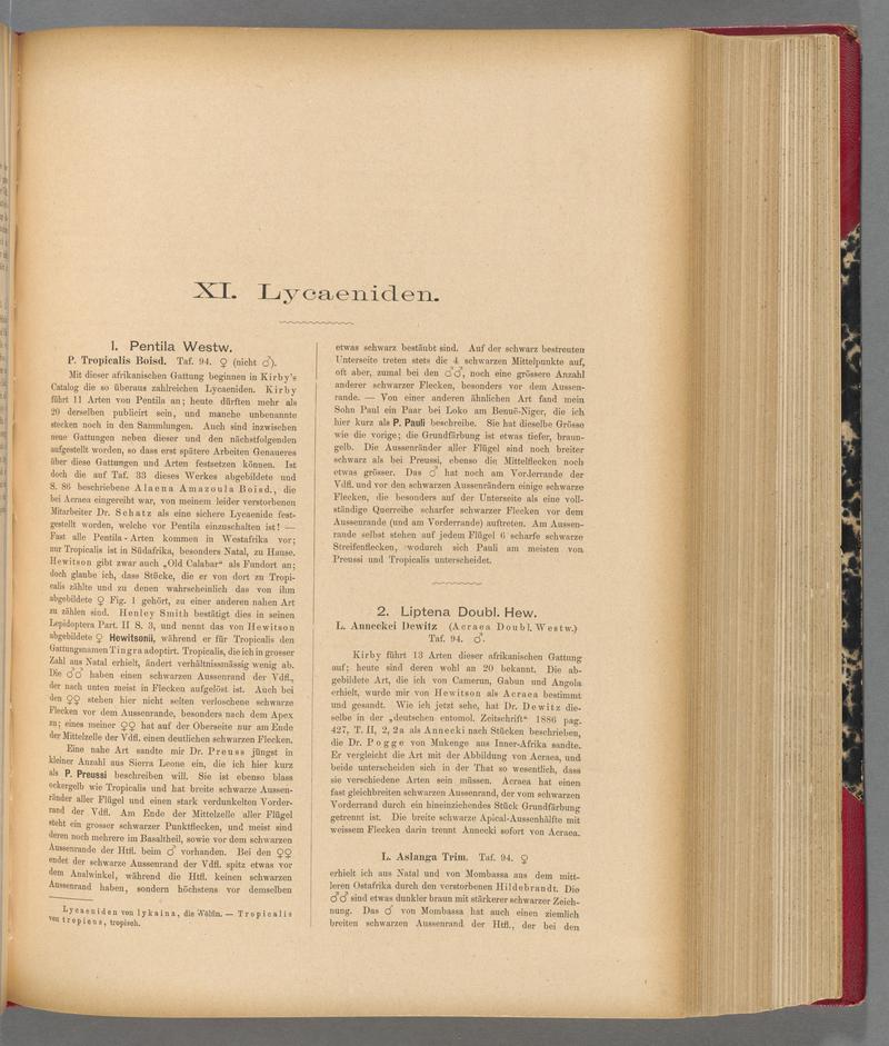 Exotische schmetterlinge (Page 267) BHL40070624