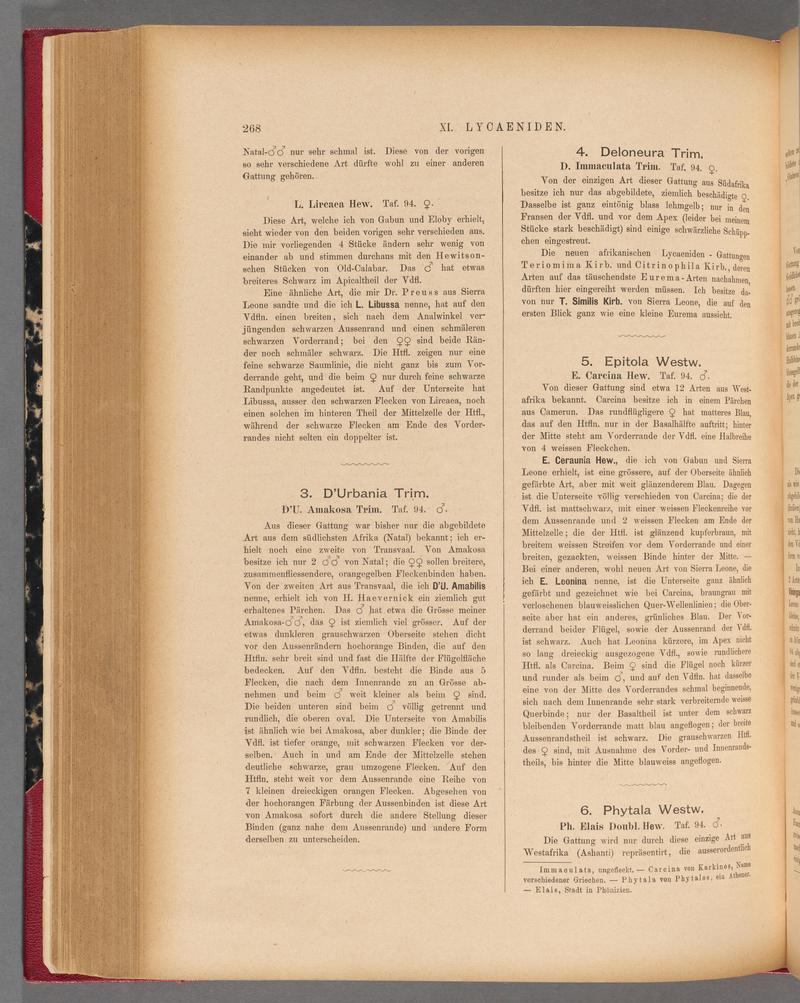 Exotische schmetterlinge (Page 268) BHL40070625