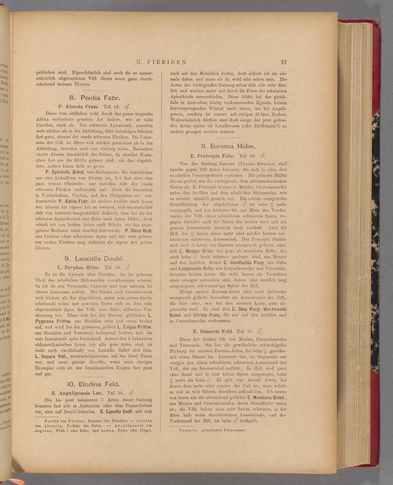 Exotische schmetterlinge (Page 27) BHL40070382