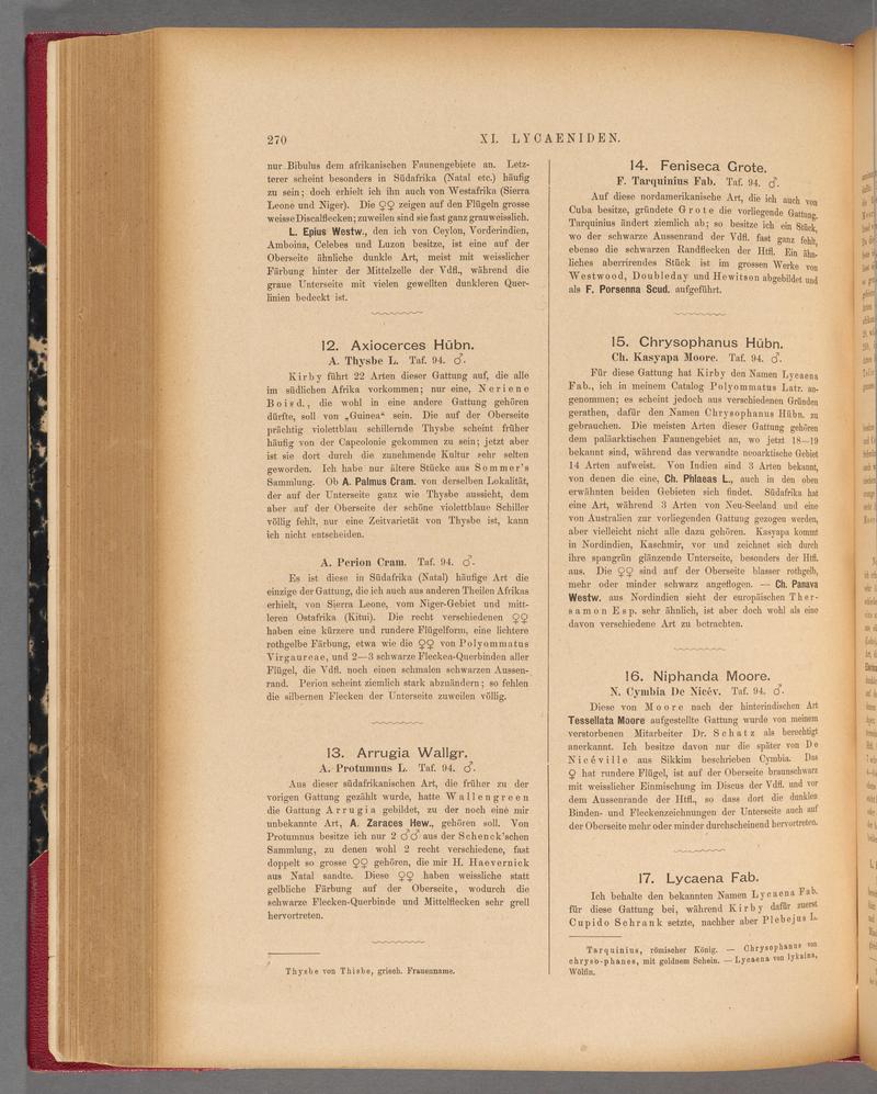 Exotische schmetterlinge (Page 270) BHL40070627