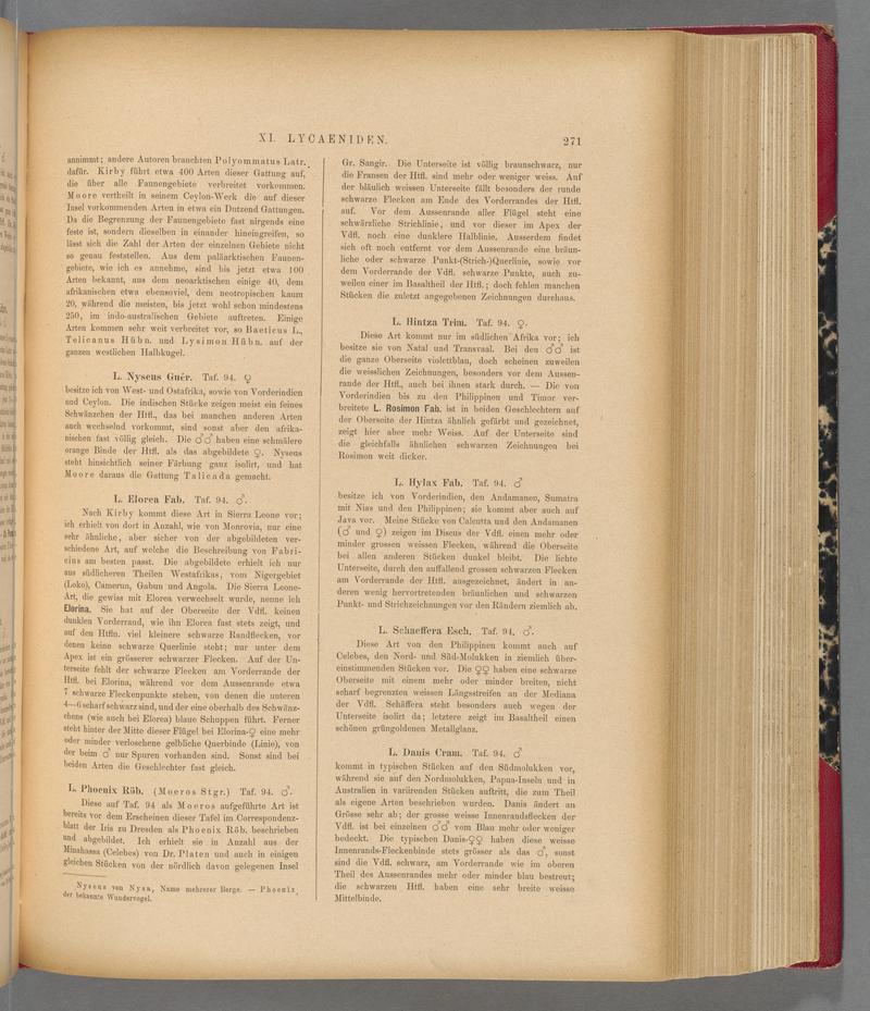 Exotische schmetterlinge (Page 271) BHL40070628