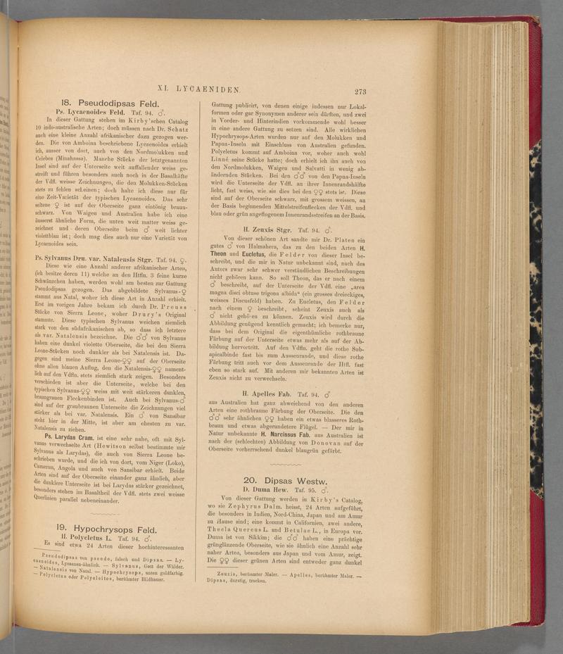 Exotische schmetterlinge (Page 273) BHL40070630