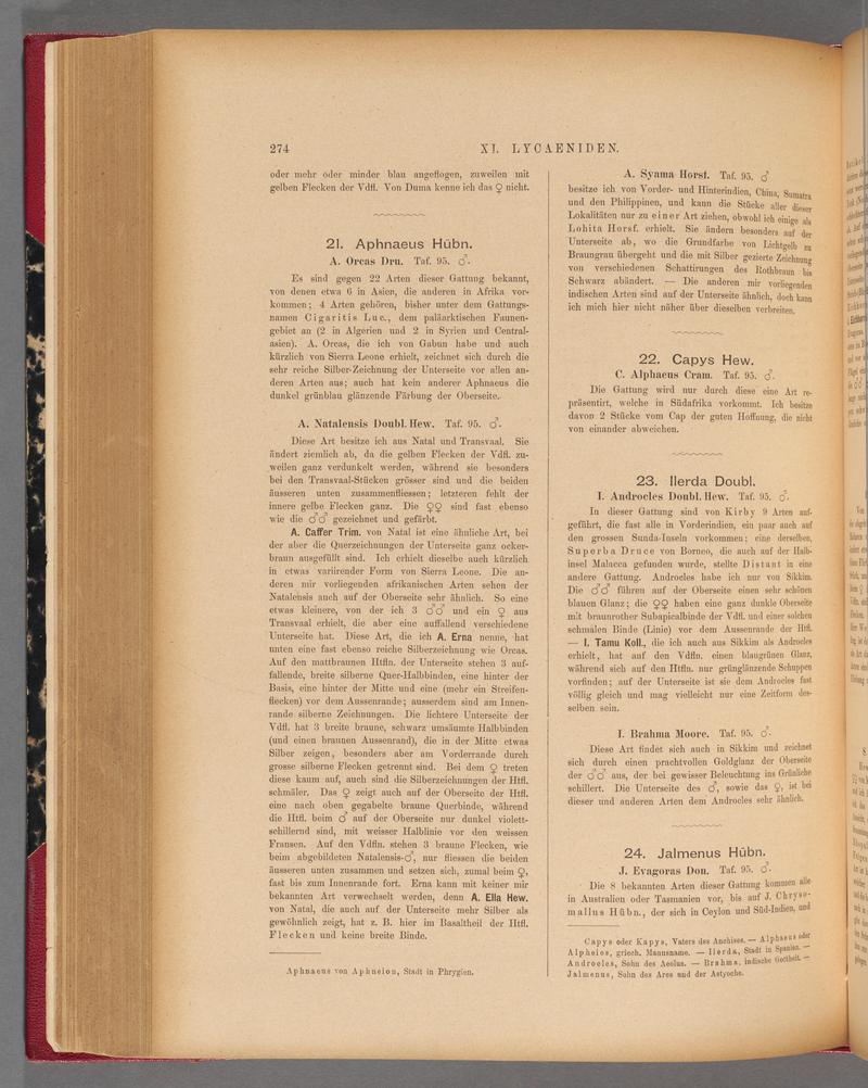 Exotische schmetterlinge (Page 274) BHL40070631