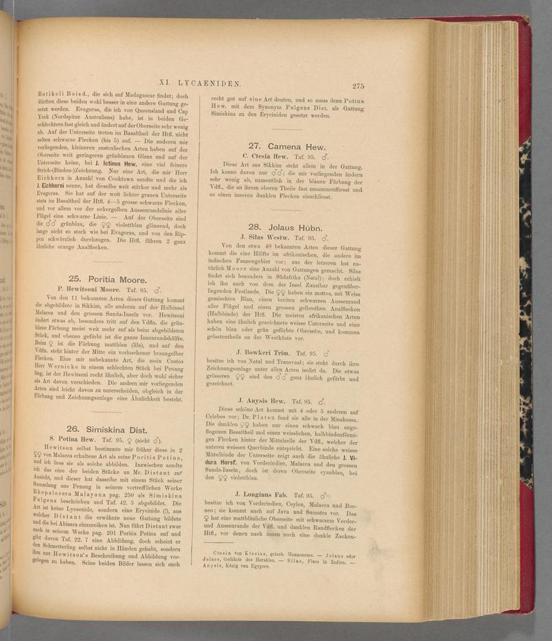 Exotische schmetterlinge (Page 275) BHL40070632