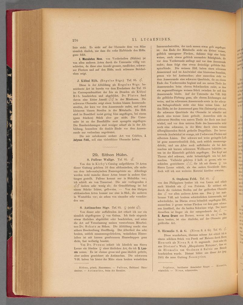 Exotische schmetterlinge (Page 276) BHL40070633