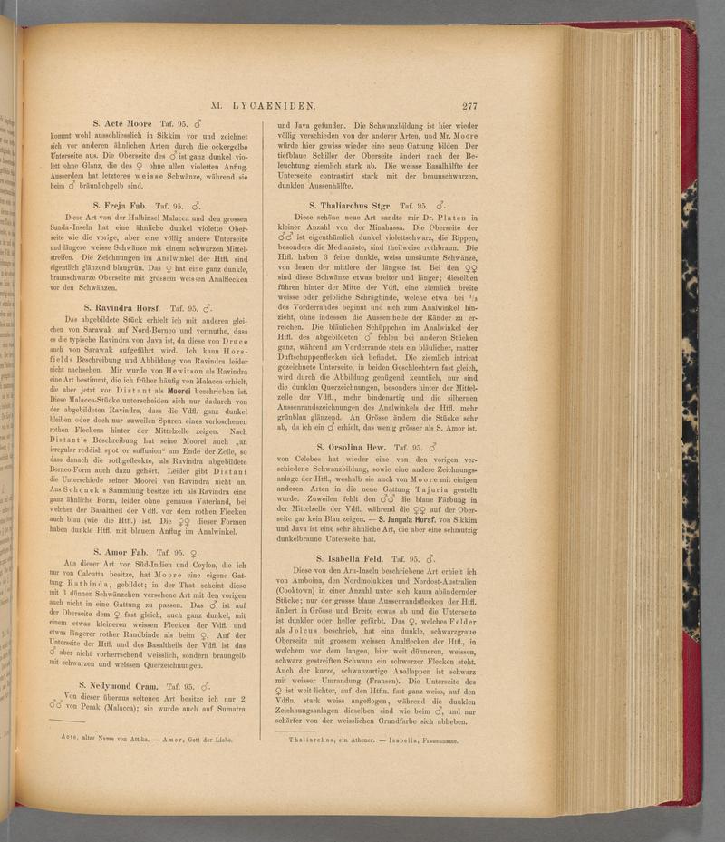Exotische schmetterlinge (Page 277) BHL40070634