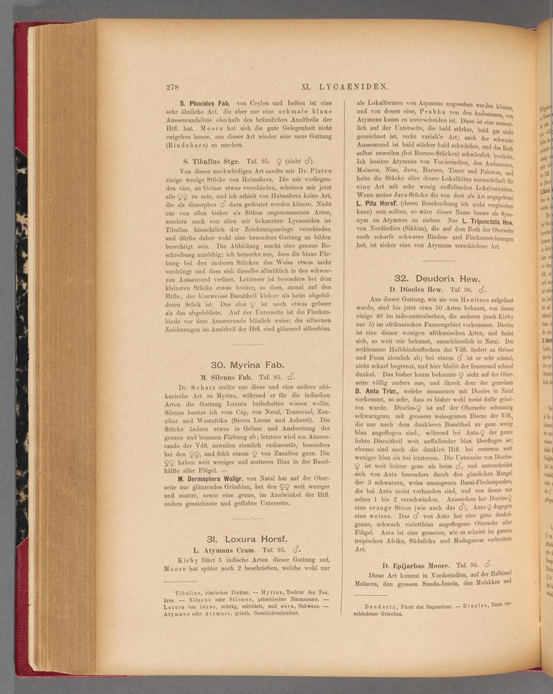 Exotische schmetterlinge (Page 278) BHL40070635