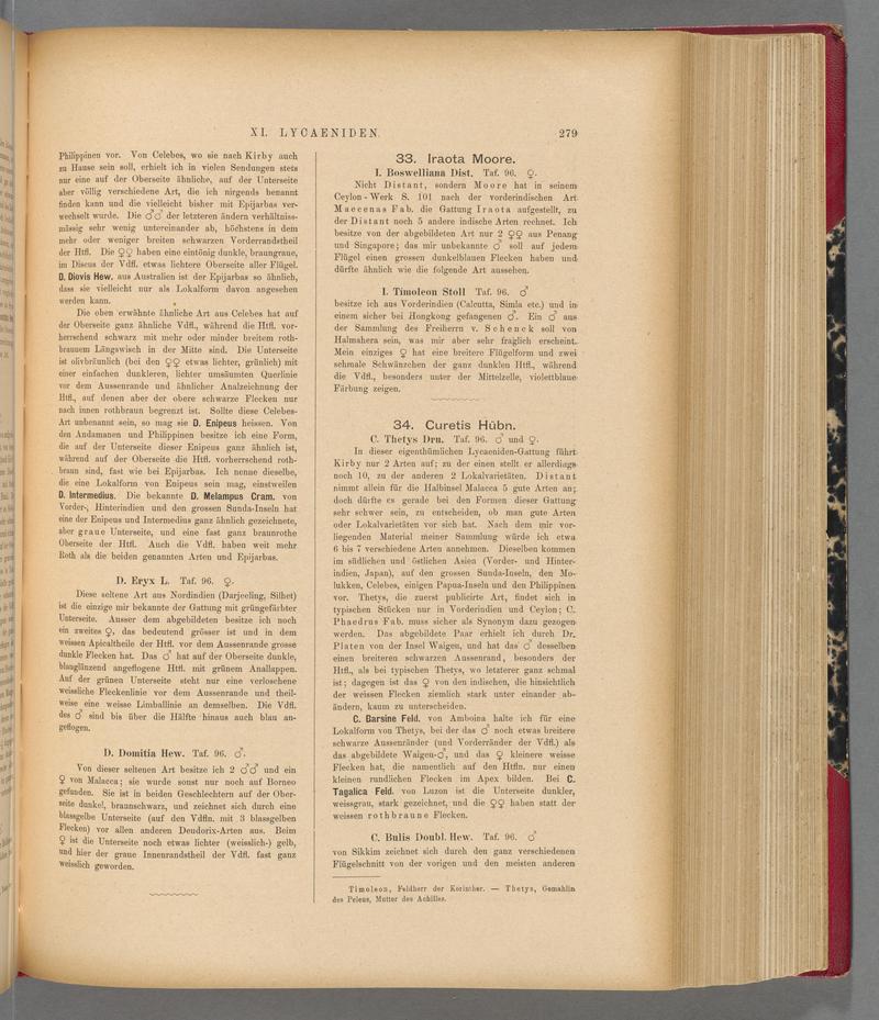 Exotische schmetterlinge (Page 279) BHL40070636