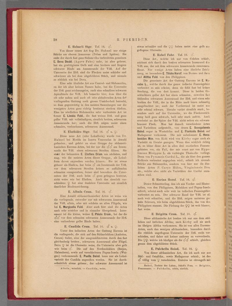 Exotische schmetterlinge (Page 28) BHL40070383