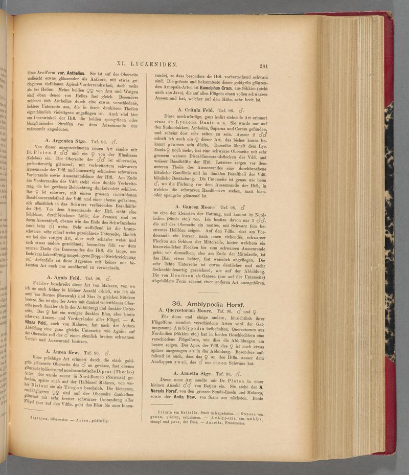 Exotische schmetterlinge (Page 281) BHL40070638