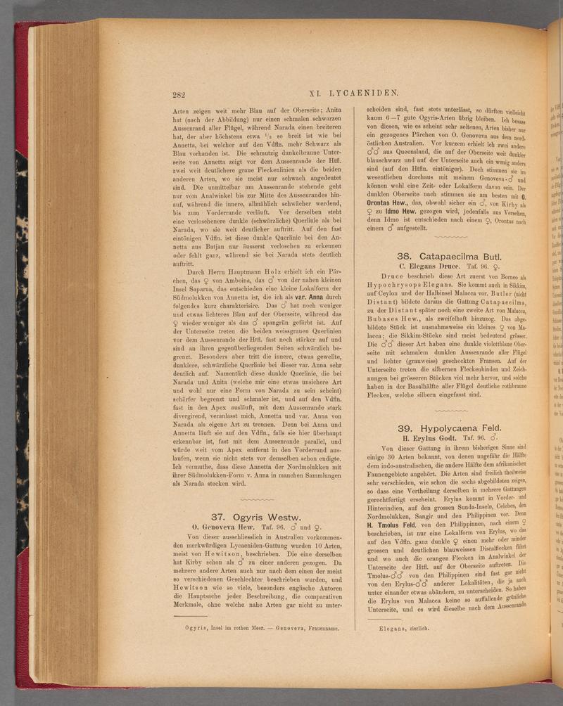 Exotische schmetterlinge (Page 282) BHL40070639