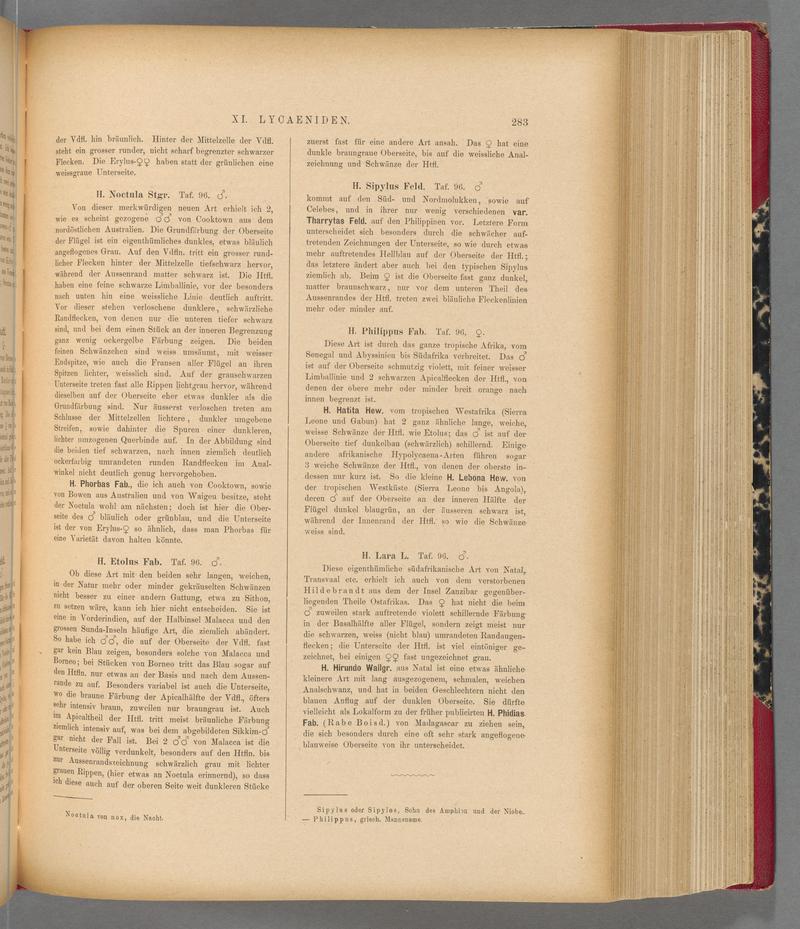 Exotische schmetterlinge (Page 283) BHL40070640