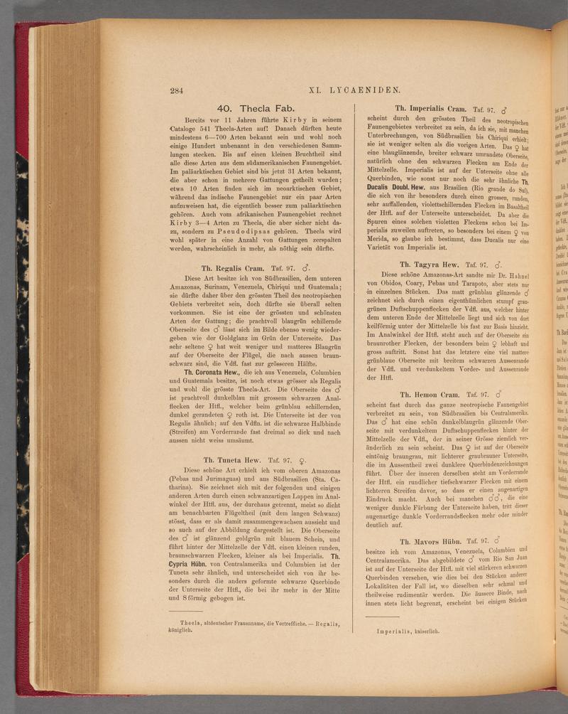 Exotische schmetterlinge (Page 284) BHL40070641